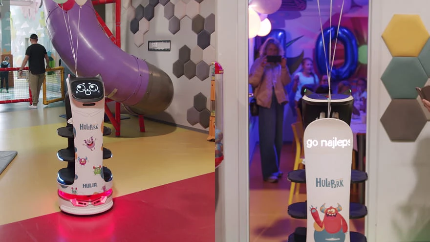 robot in entertainment